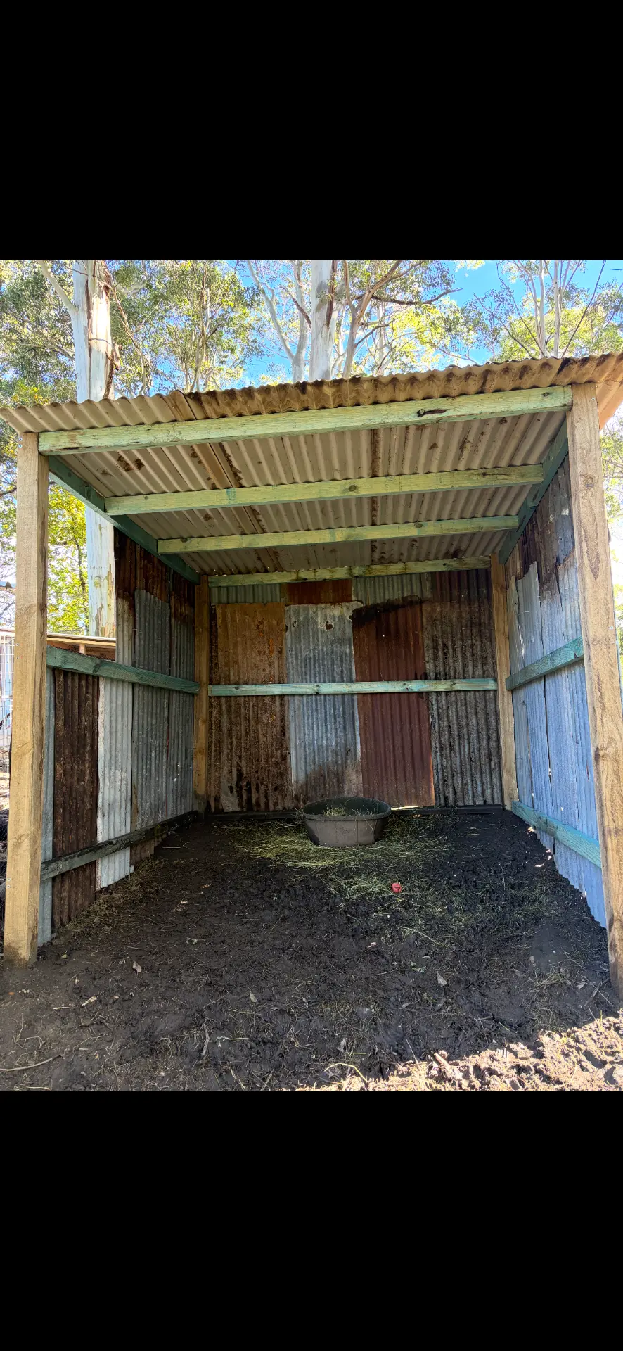 Timber and corrugated iron animal shelter built on a rural block