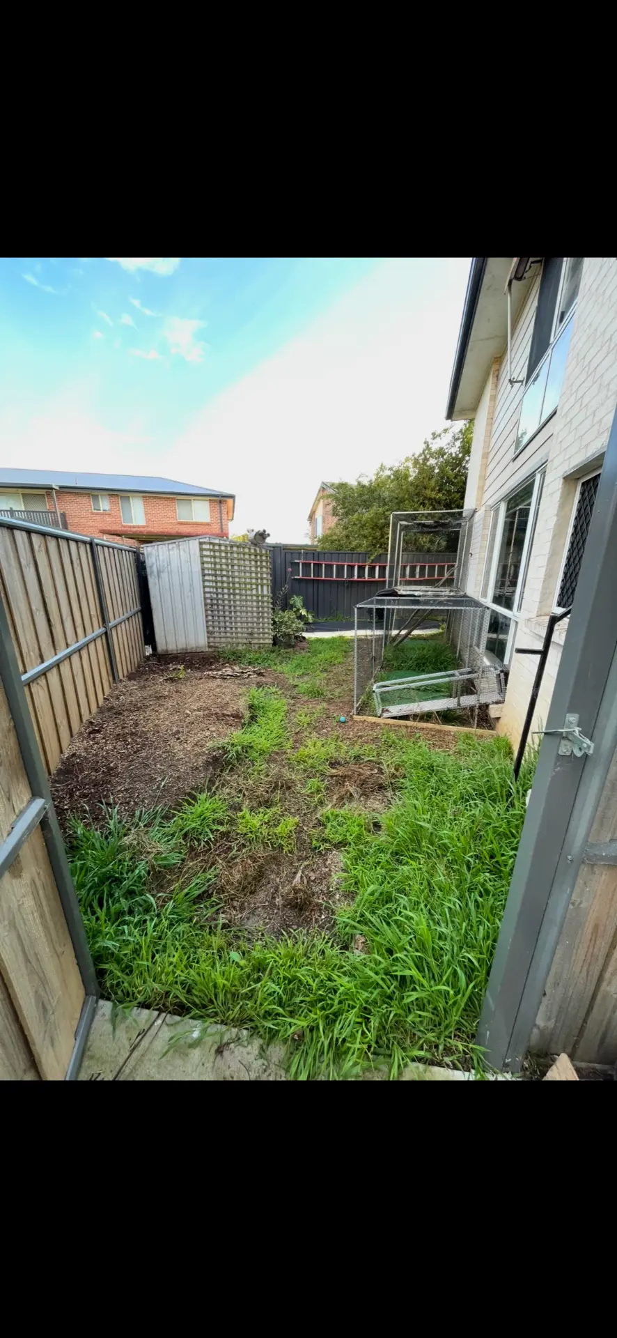 Overgrown side yard with long weedy grass and bare dirt patches before works